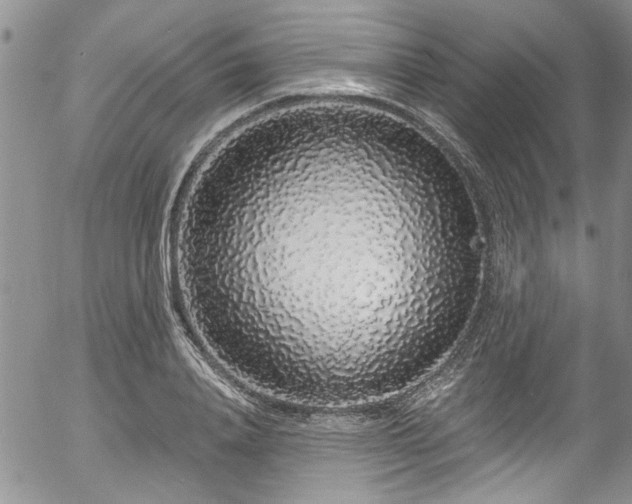 X0000057090840200509120917