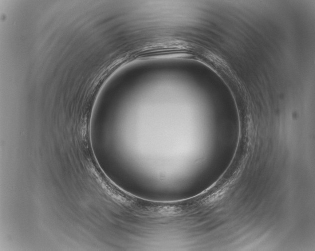 X0000057090841200509120917