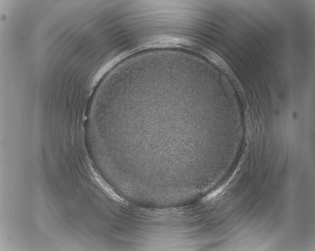 X0000057090842200509120917