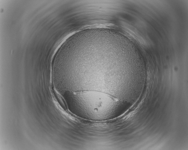 X0000057090844200509120917