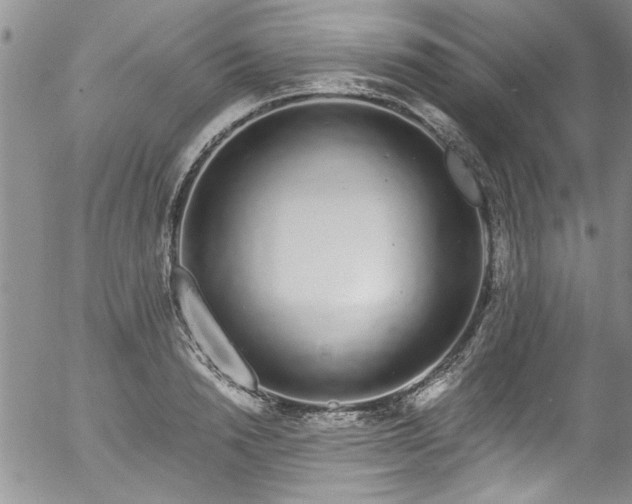 X0000057090846200509120917