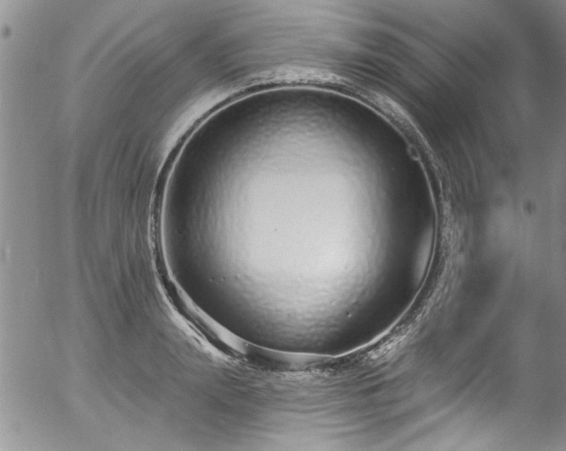 X0000057090847200509120917