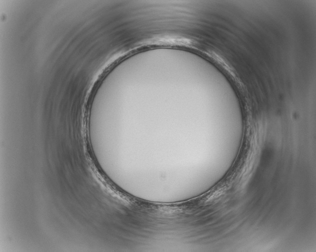 X0000057090848200509120917