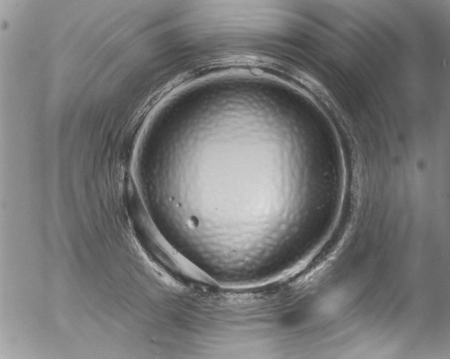 X0000057090849200509120917