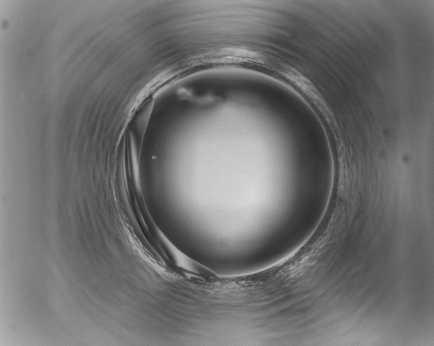 X0000057090850200509120917