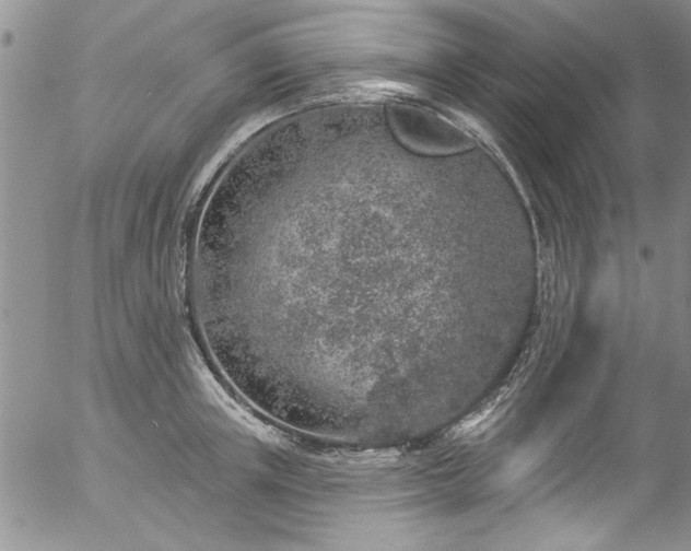 X0000057090851200509120917