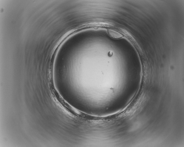 X0000057090852200509120917