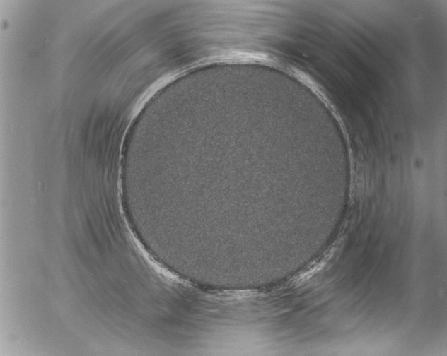 X0000057090853200509120917