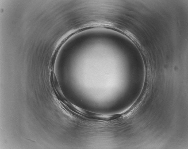 X0000057090854200509120917