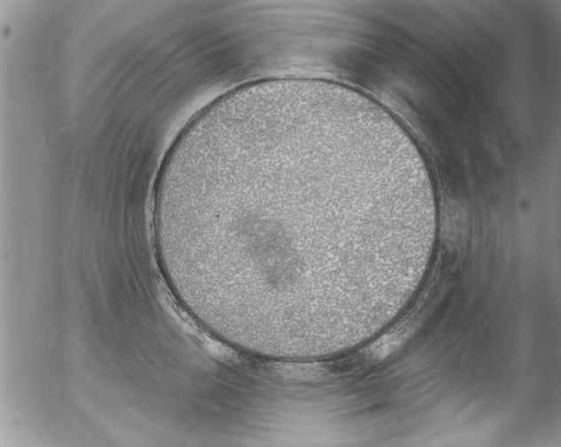 X0000057090856200509120917