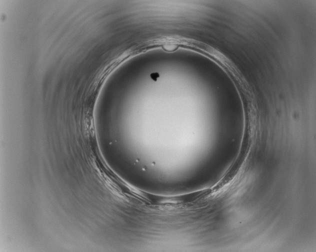 X0000057090857200509120917