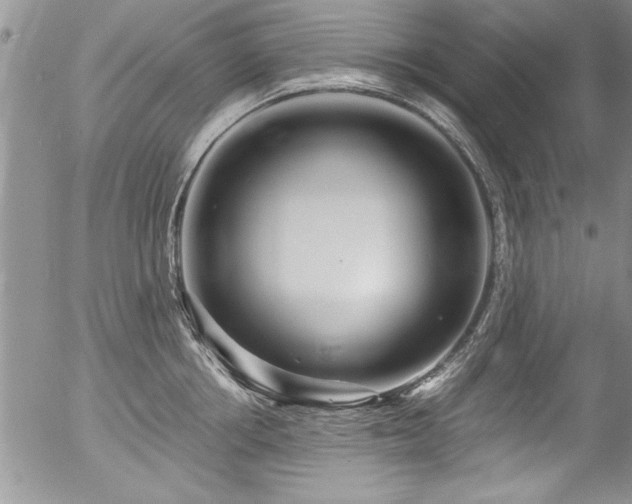 X0000057090858200509120917