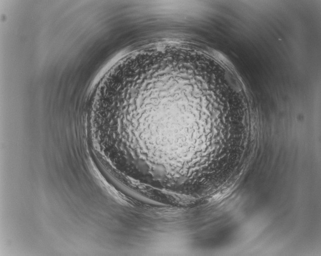 X0000057090859200509120917