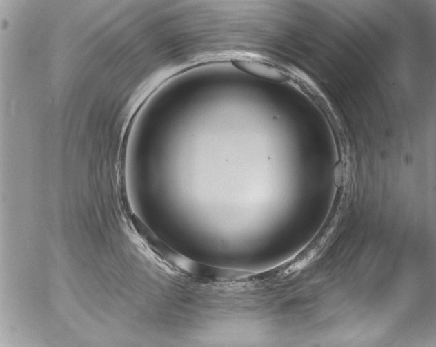 X0000057090860200509120917