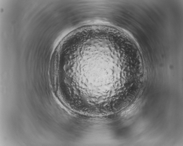 X0000057090863200509120917