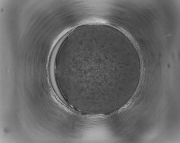 X0000057090864200509120917