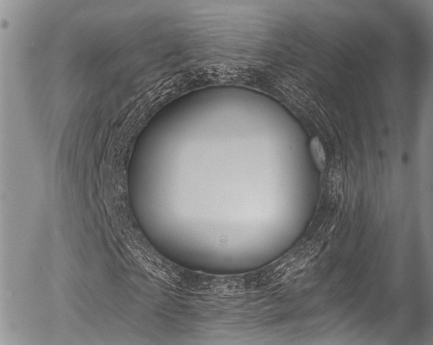 X0000057090865200509120917