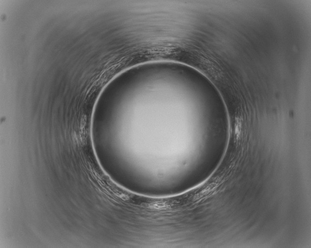 X0000057090867200509120916