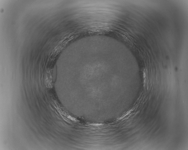 X0000057090868200509120916