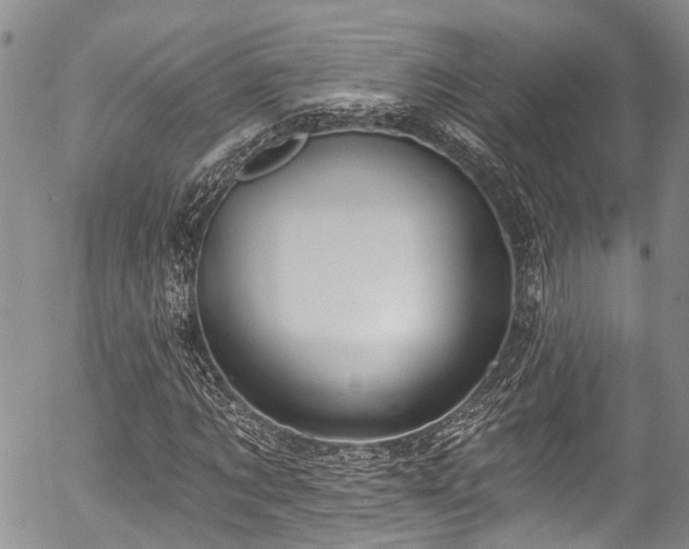 X0000057090869200509120916