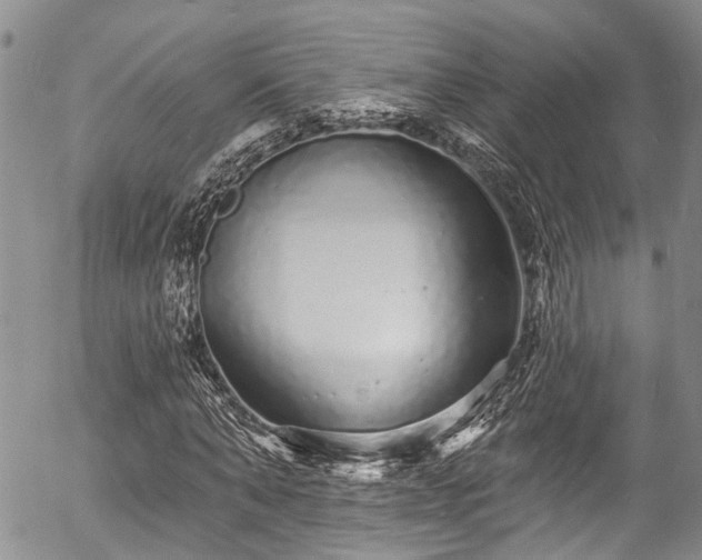 X0000057090870200509120916