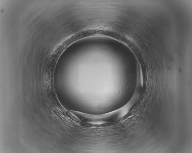 X0000057090872200509120916