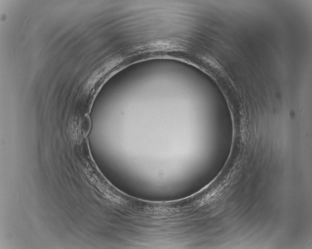 X0000057090873200509120916