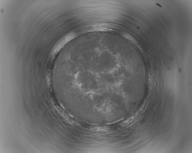 X0000057090874200509120916