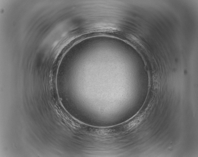 X0000057090875200509120916