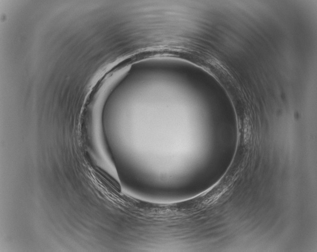 X0000057090876200509120916