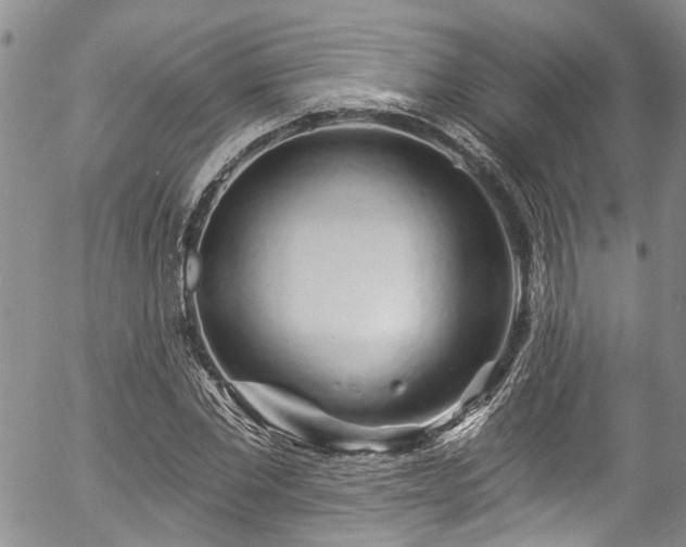 X0000057090877200509120916