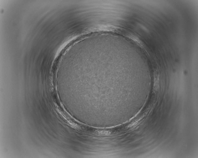 X0000057090878200509120916