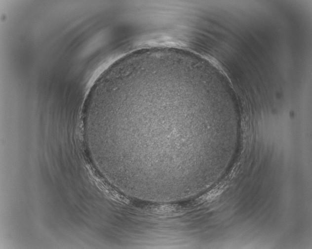 X0000057090879200509120916