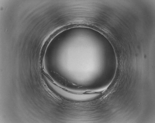 X0000057090880200509120916