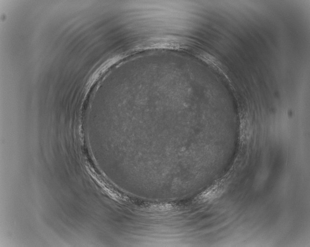 X0000057090882200509120916