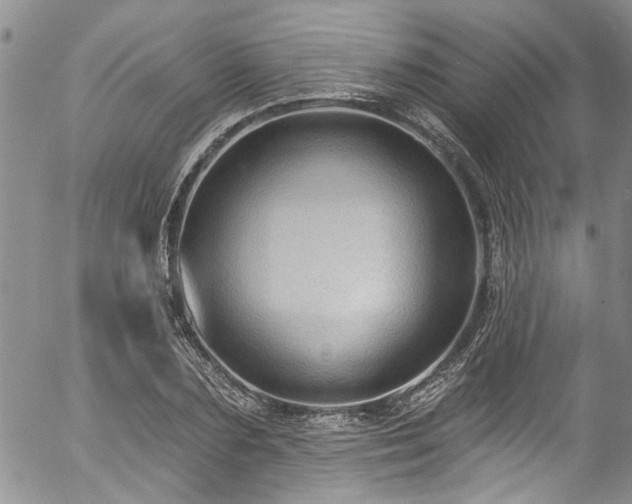 X0000057090883200509120916