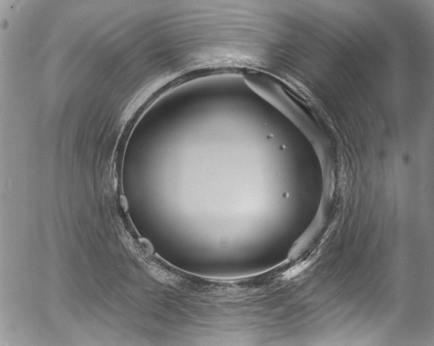 X0000057090885200509120916