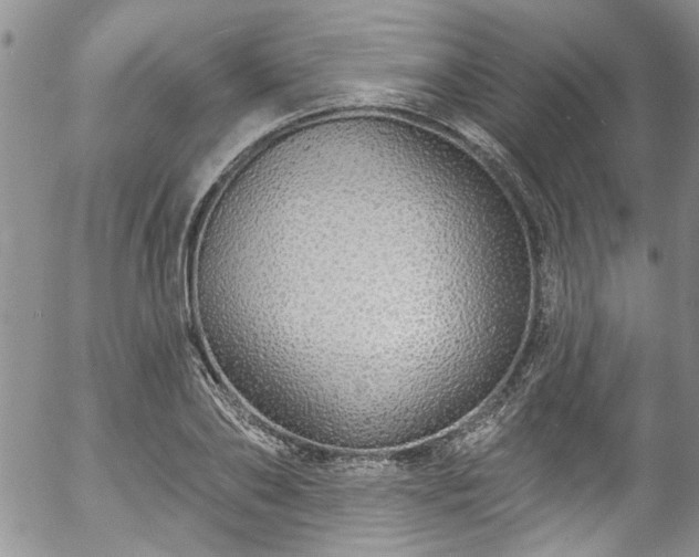 X0000057090886200509120916