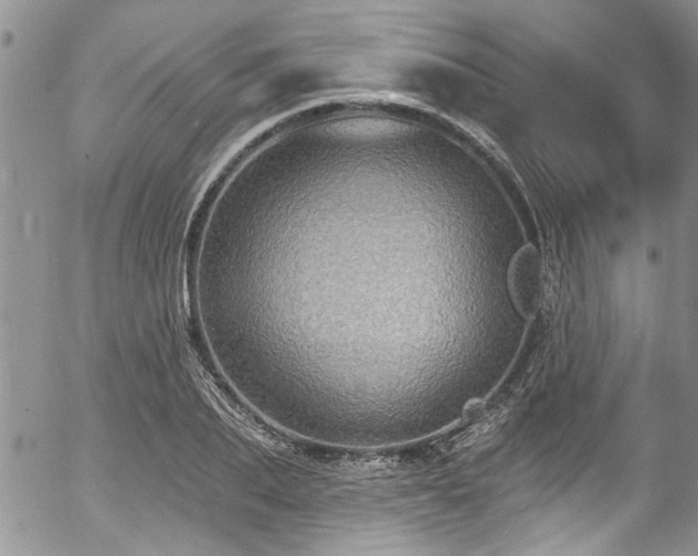 X0000057090887200509120916