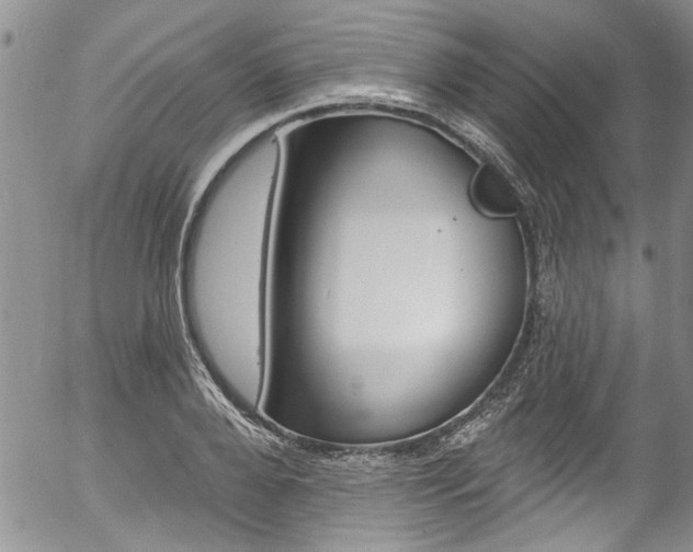 X0000057090888200509120916