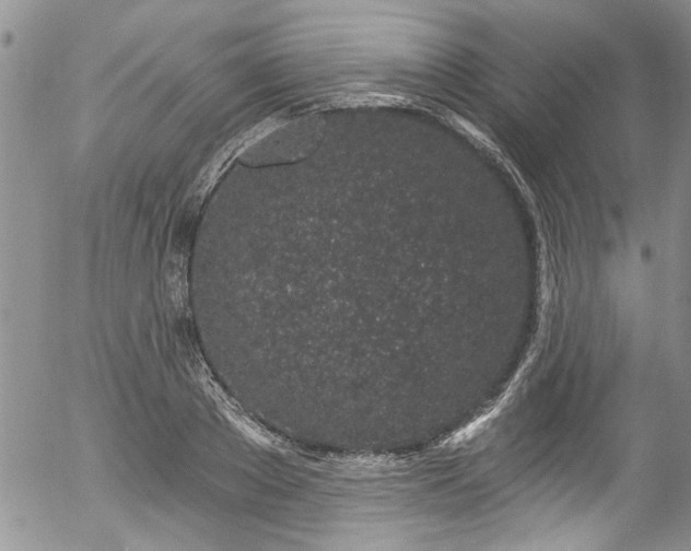 X0000057090889200509120916