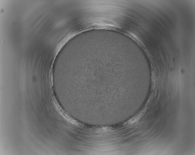 X0000057090891200509120916