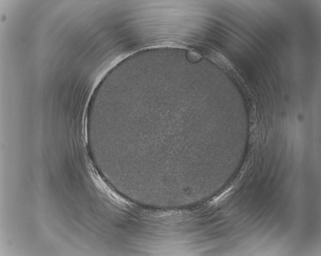 X0000057090892200509120916