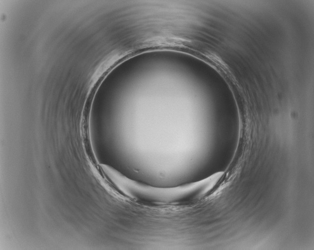 X0000057090893200509120916