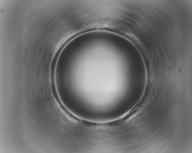 X0000057090894200509120916