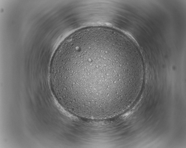 X0000057090895200509120916