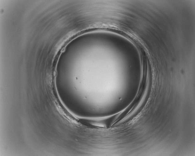 X0000057090896200509120916