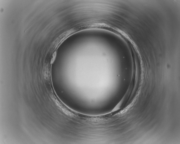 X0000057090897200509120916