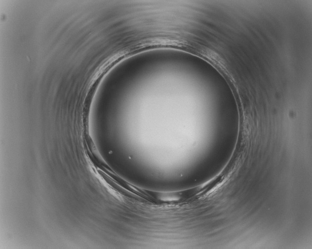 X0000057090898200509120916