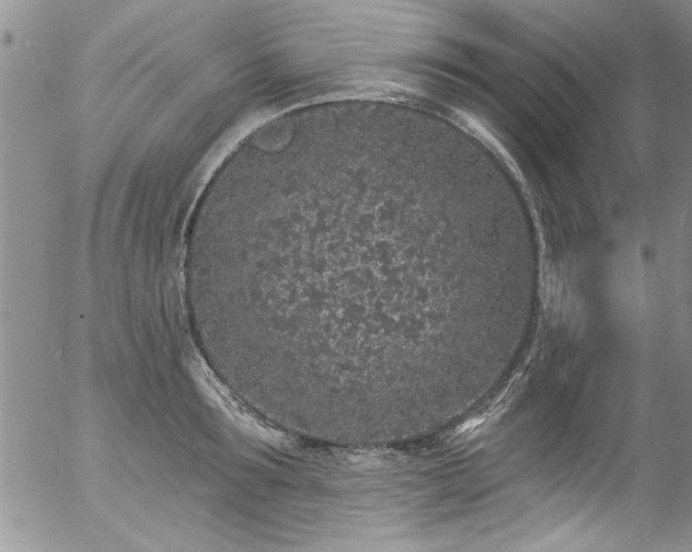 X0000057090899200509120916